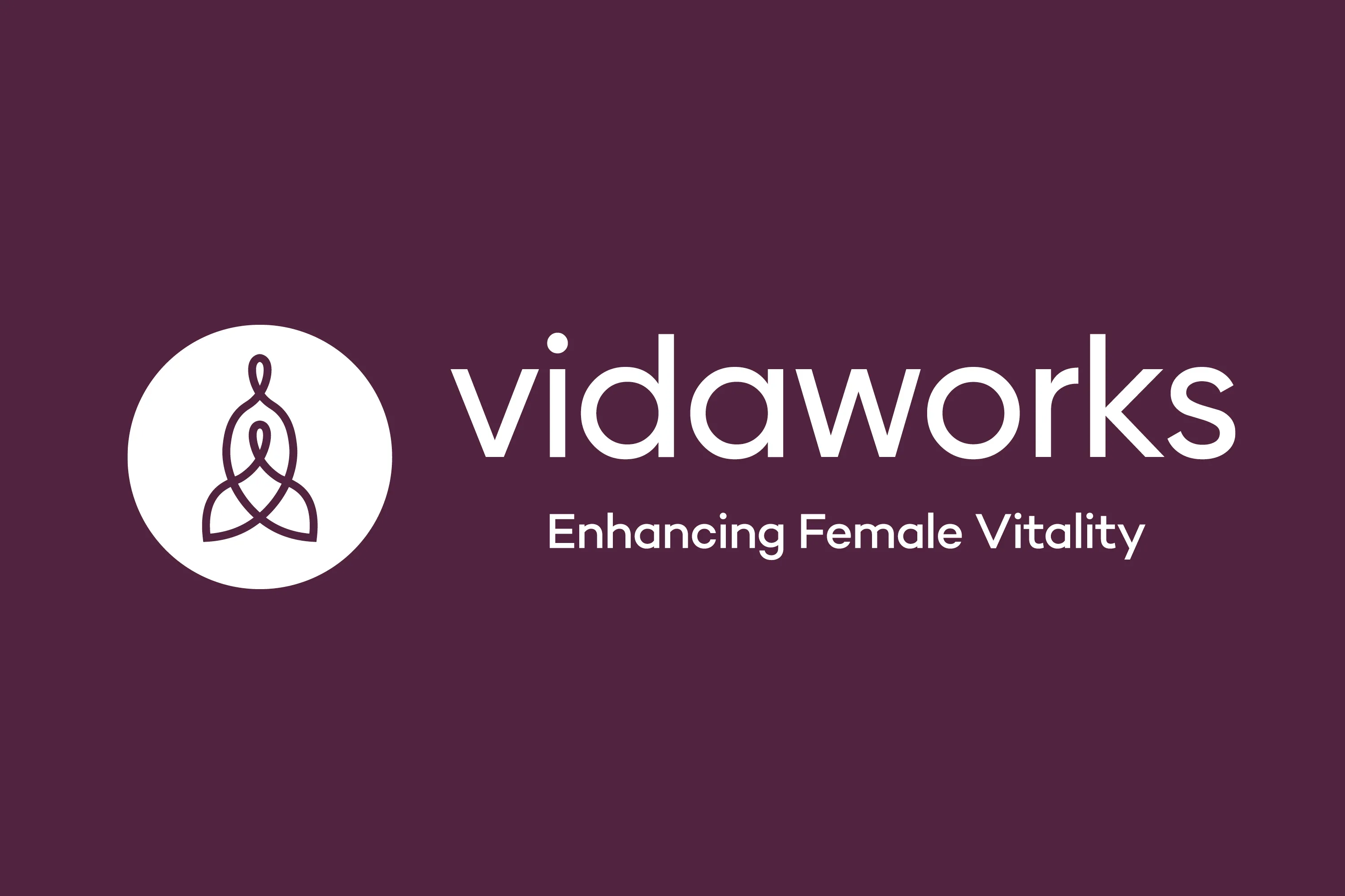 Vidaworks