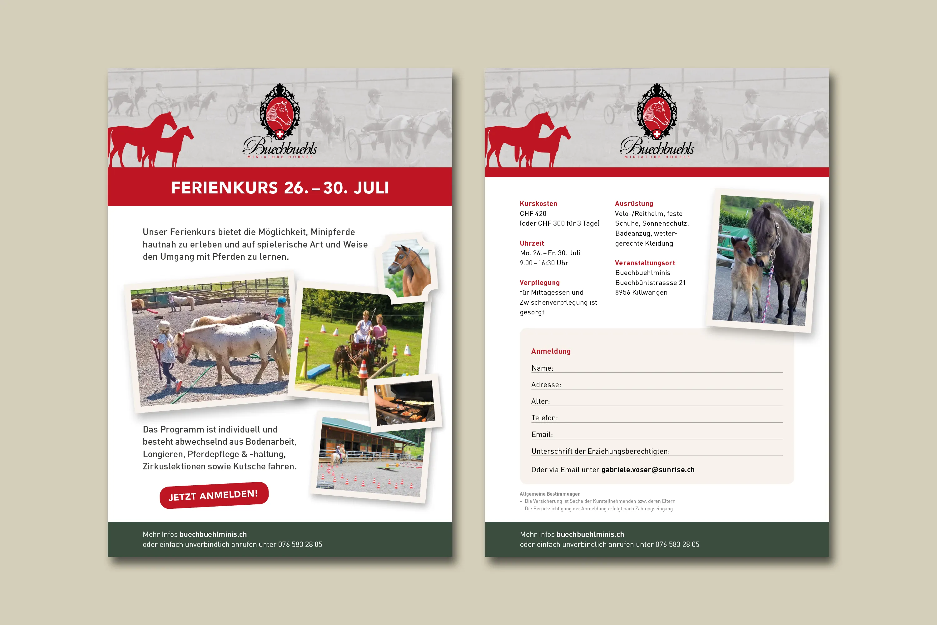 The project