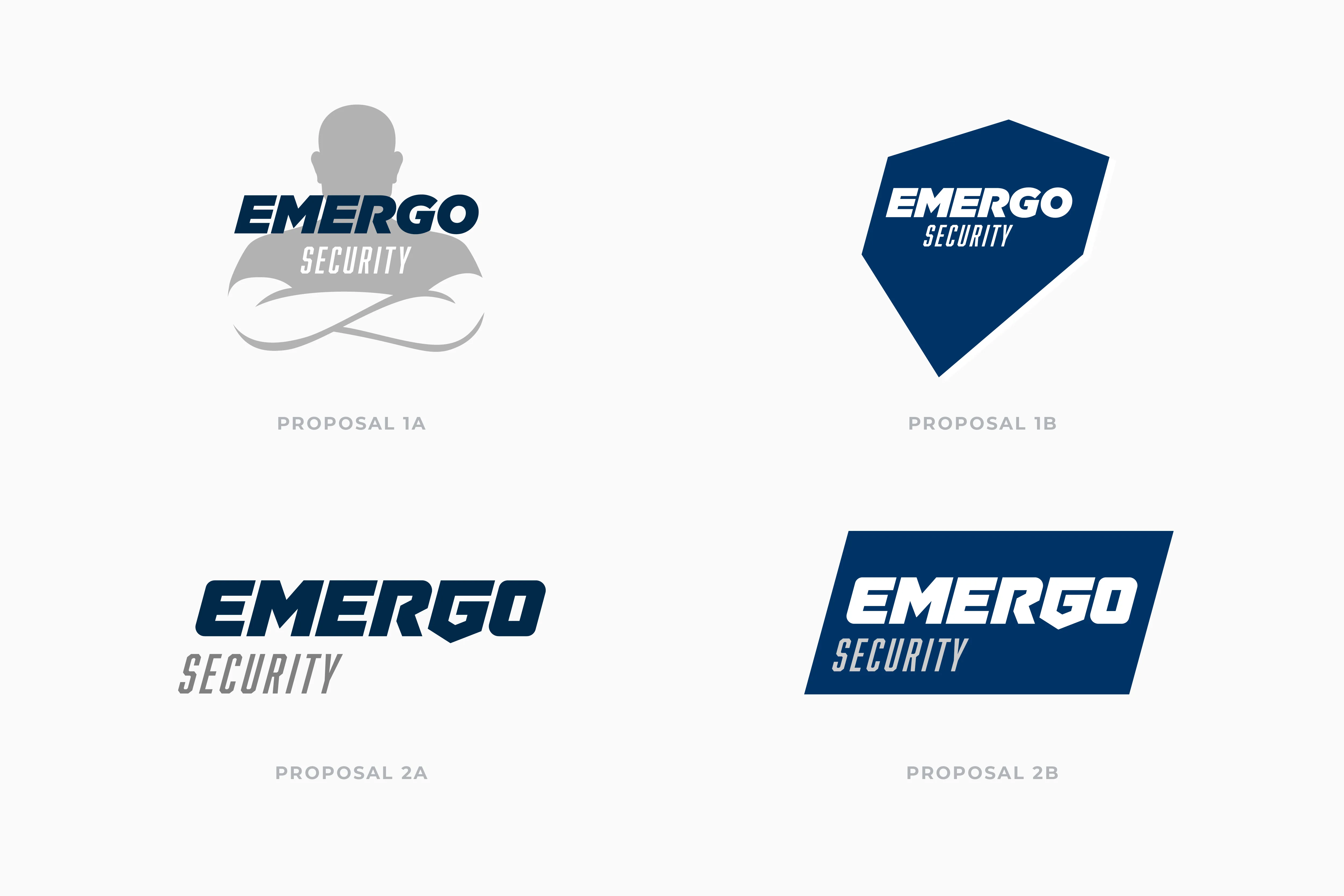 The project