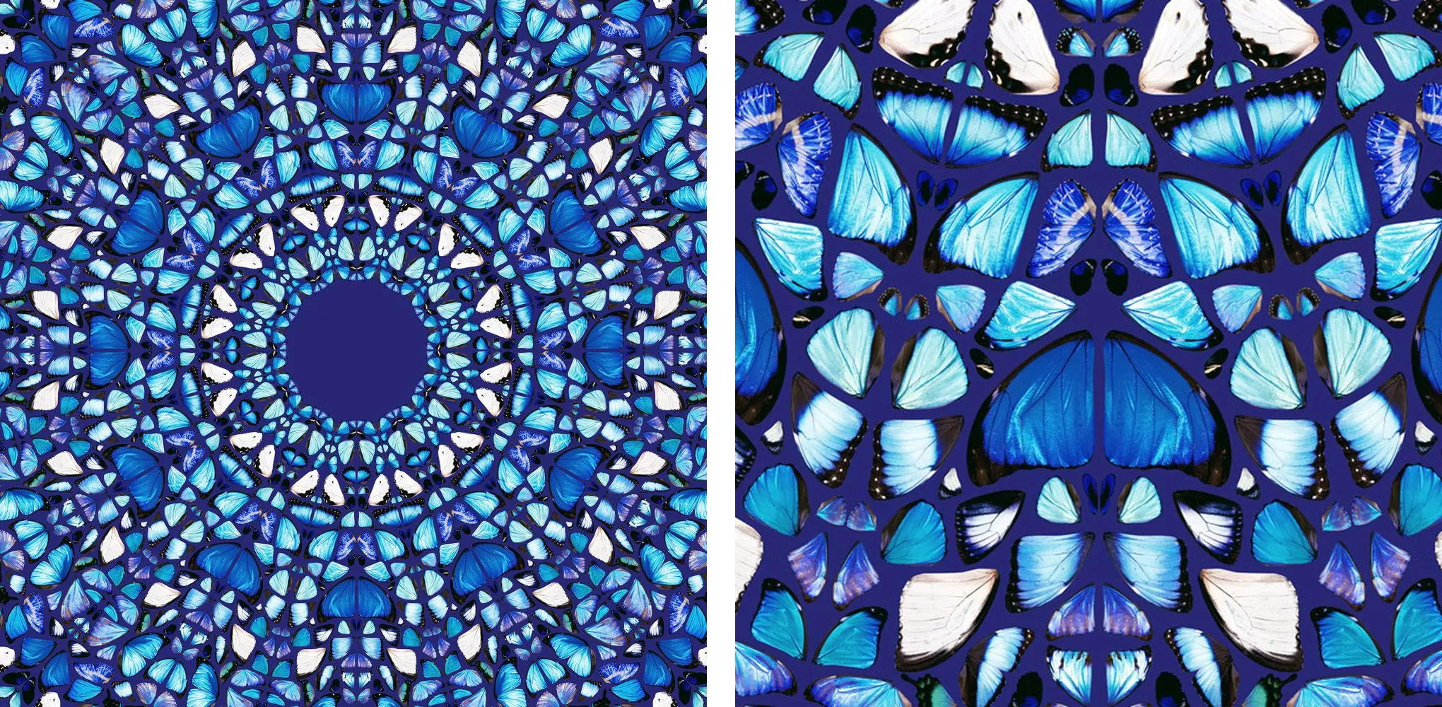 Wings of Life VI, and a closer look.