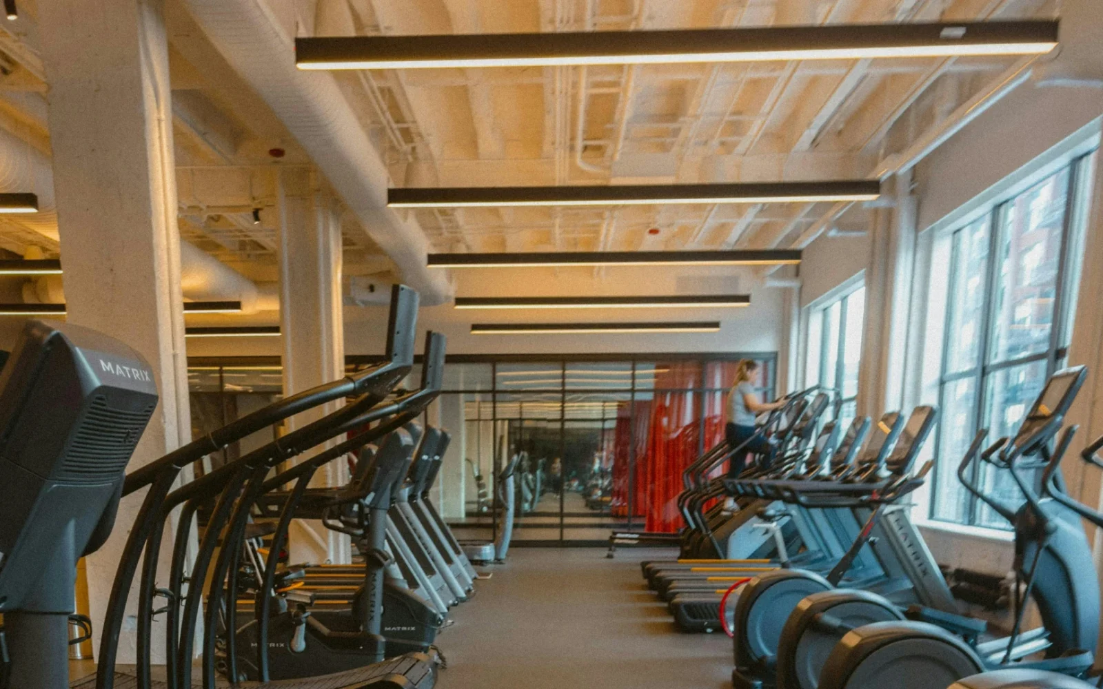 Small Group Training for Busy Schedules in Forest Park | Three Bears Fitness