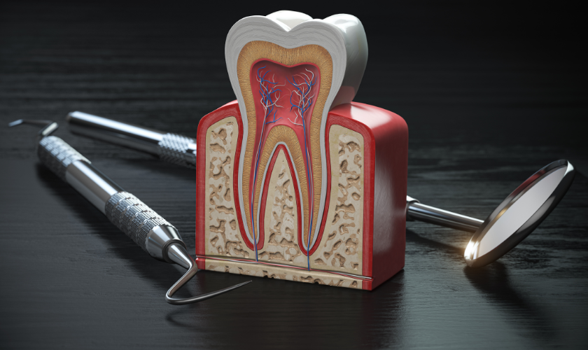 Does a Root Canal Cause Cancer or Other Health Problems?