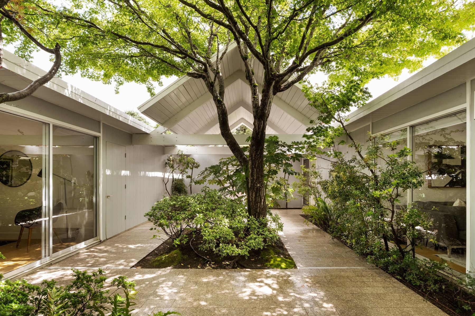 An open atrium with a tree at its center, San Rafael. Real estate photography by Lumiful Media
