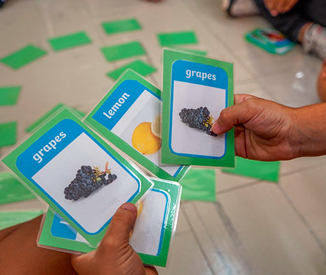 Criança segura cartões em inglês com nomes e figuras de frutas