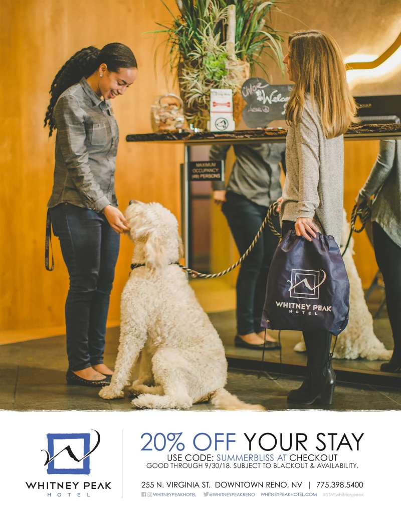 Whitney Peak pet-friendly hotel campaign artwork