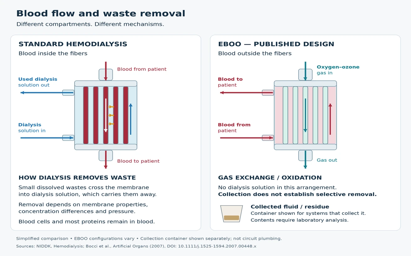 Diagram comparing blood flow in a hemodialysis filter and an EBOO filter