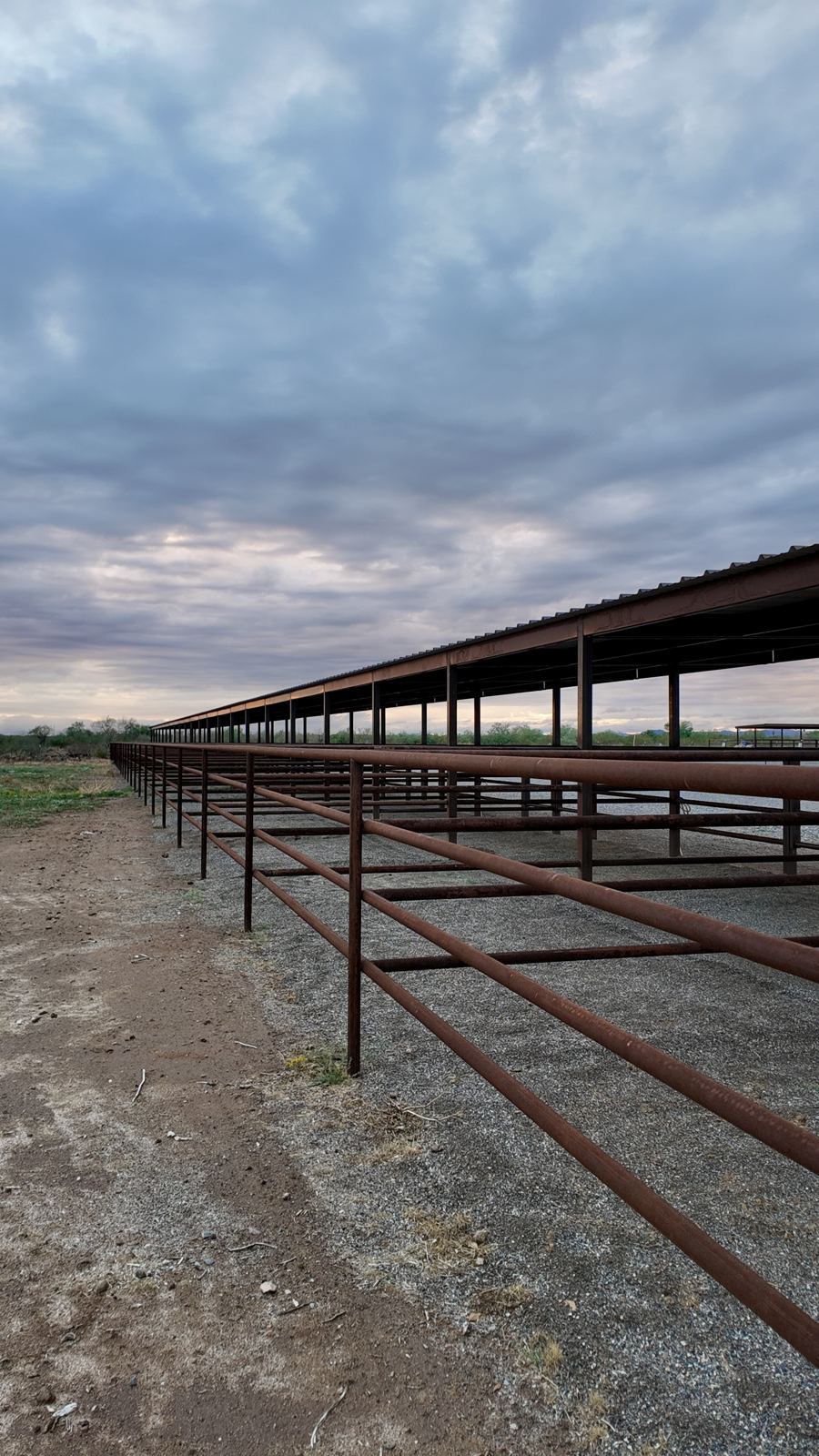 Long covered horse shelters with steel pipe fencing