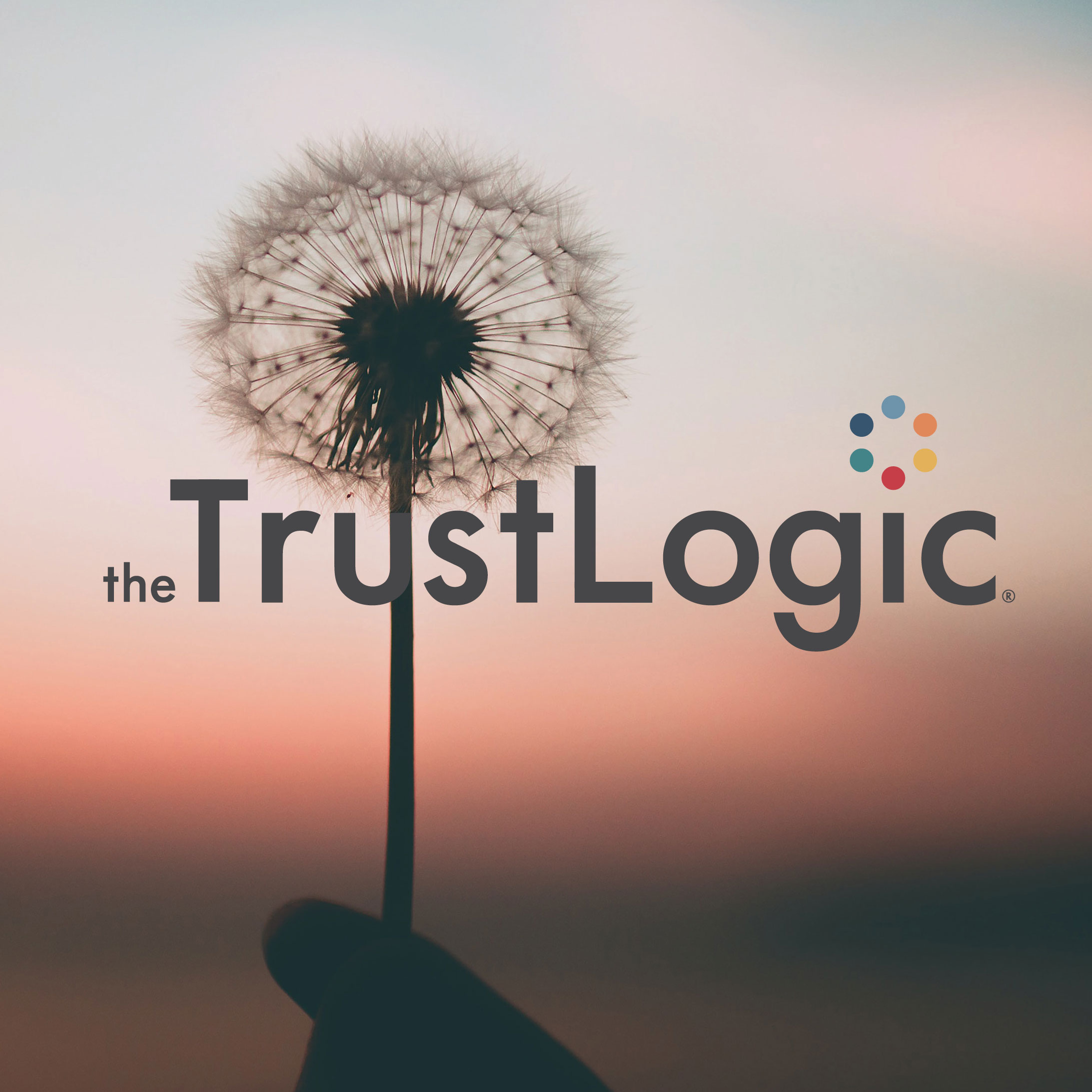 The trust logic logo over an image of a person holding a dandelion