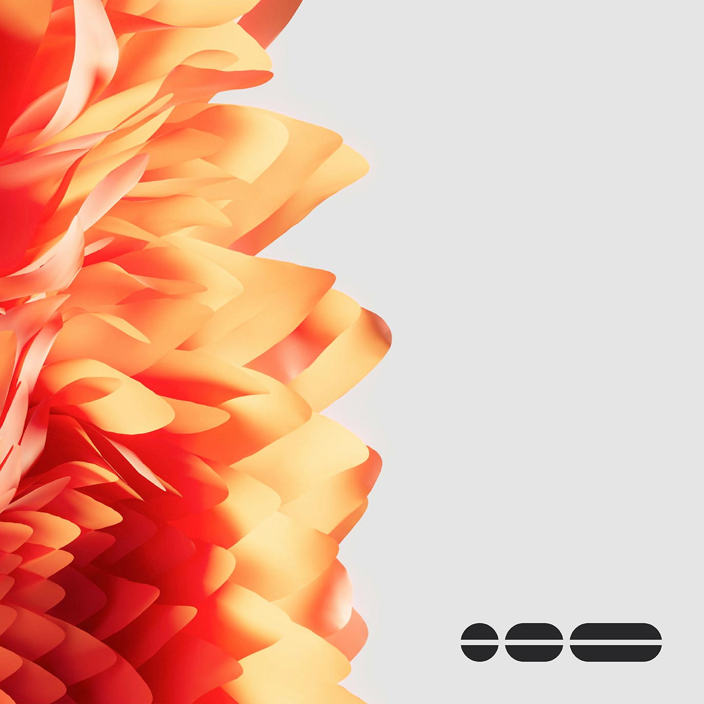 Close up of orange flower down left hand side. Right hand side is grey background with the BrandOps icon on bottom right. This represents a successful rebrand.