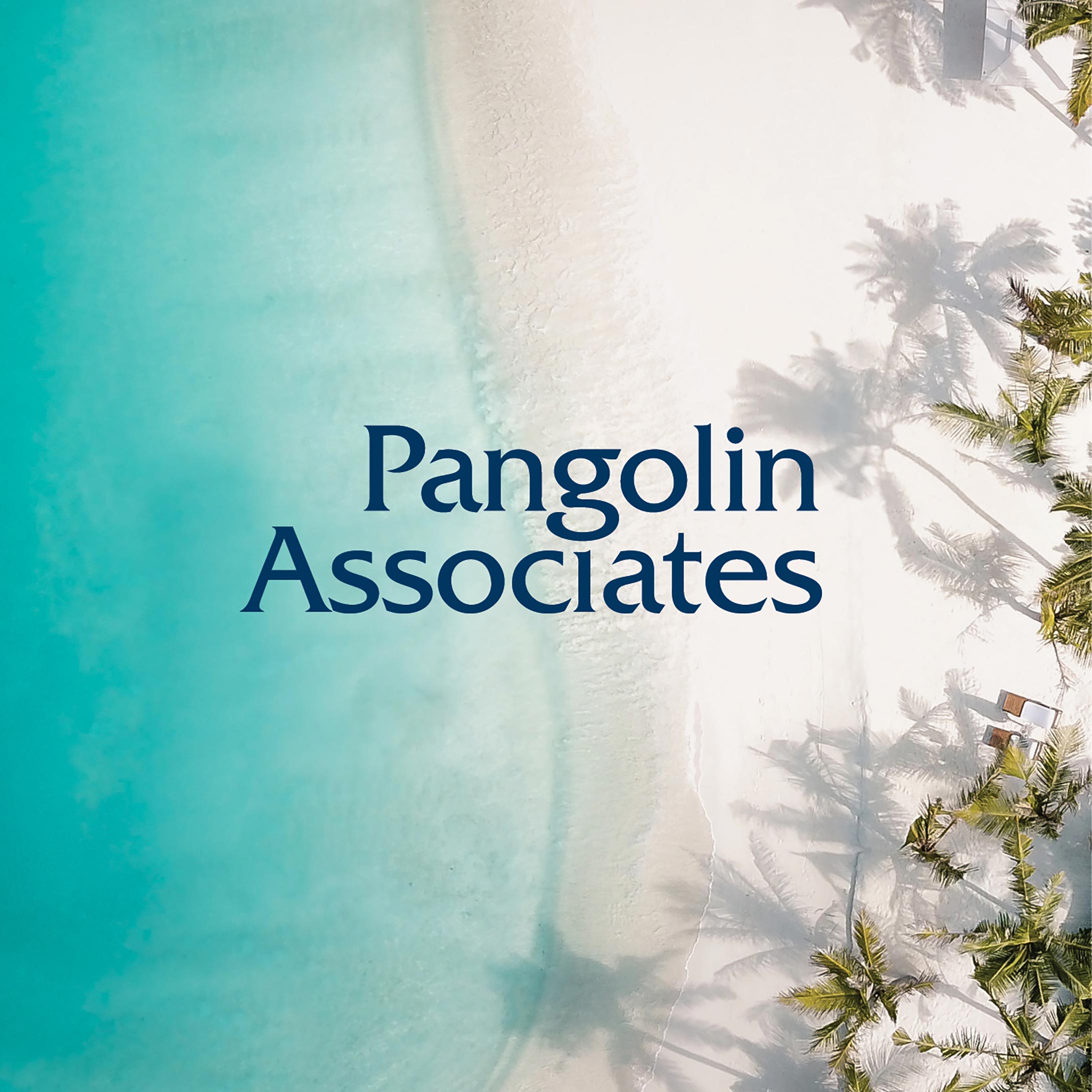 Pangolin Associates logo on background of an aerial shot of a white sand and teal coloured water beach