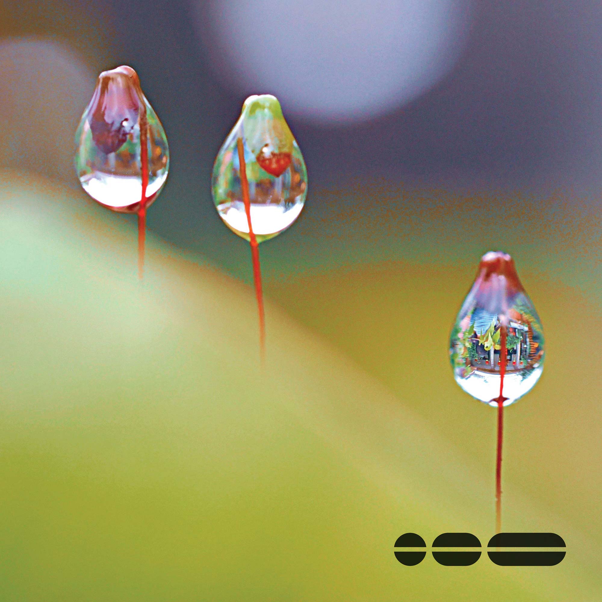 An abstract green background of leaves with three water droplets on three stems