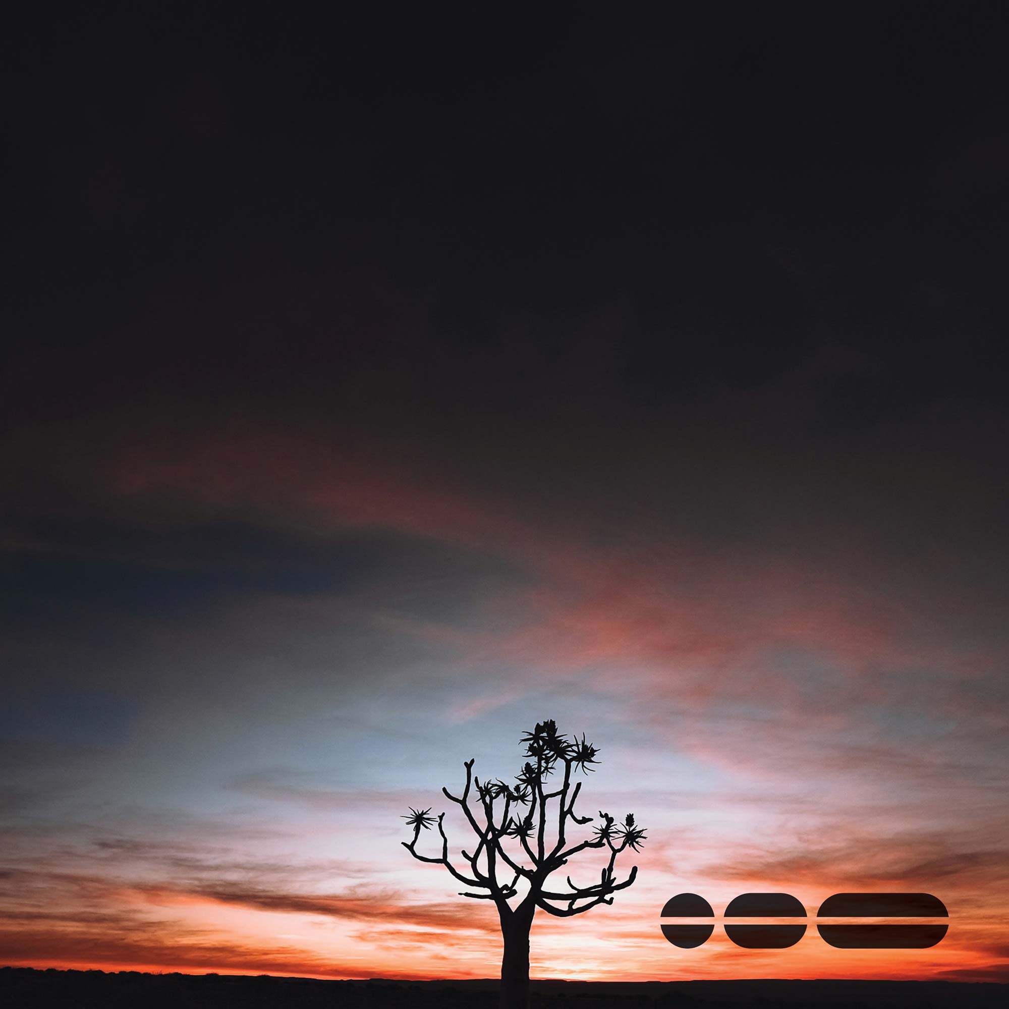 Sole tree on sunrise backdrop, with blue and orange hued sky