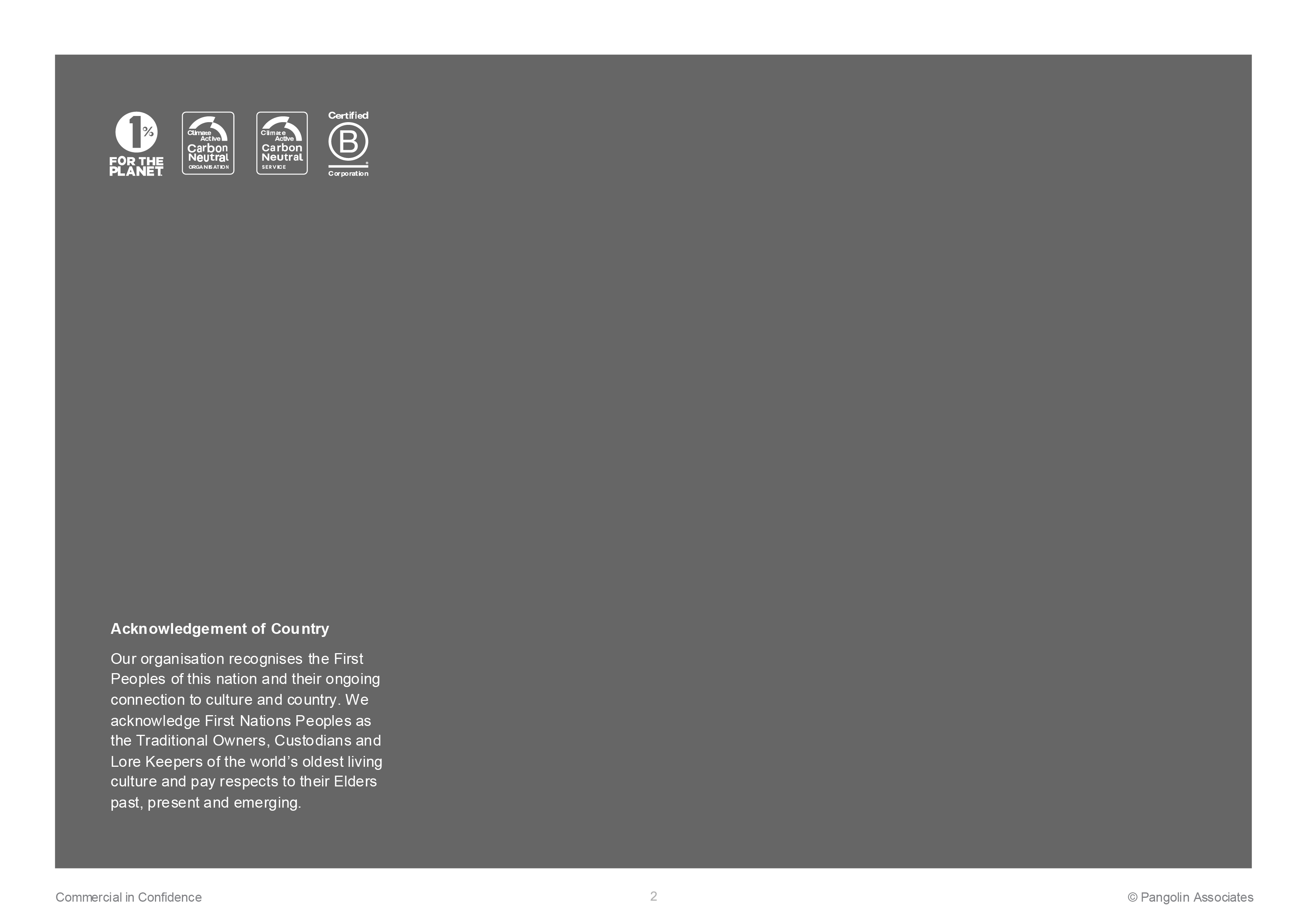 Pangolin A4 PowerPoint page - logos and text page about the company