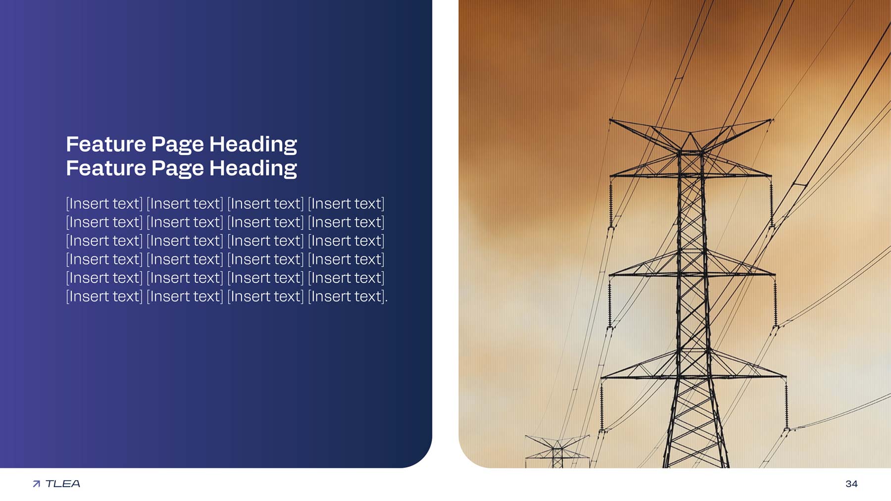 TLEA PowerPoint widescreen presentation template with a half-half image on right and purple block of text on left