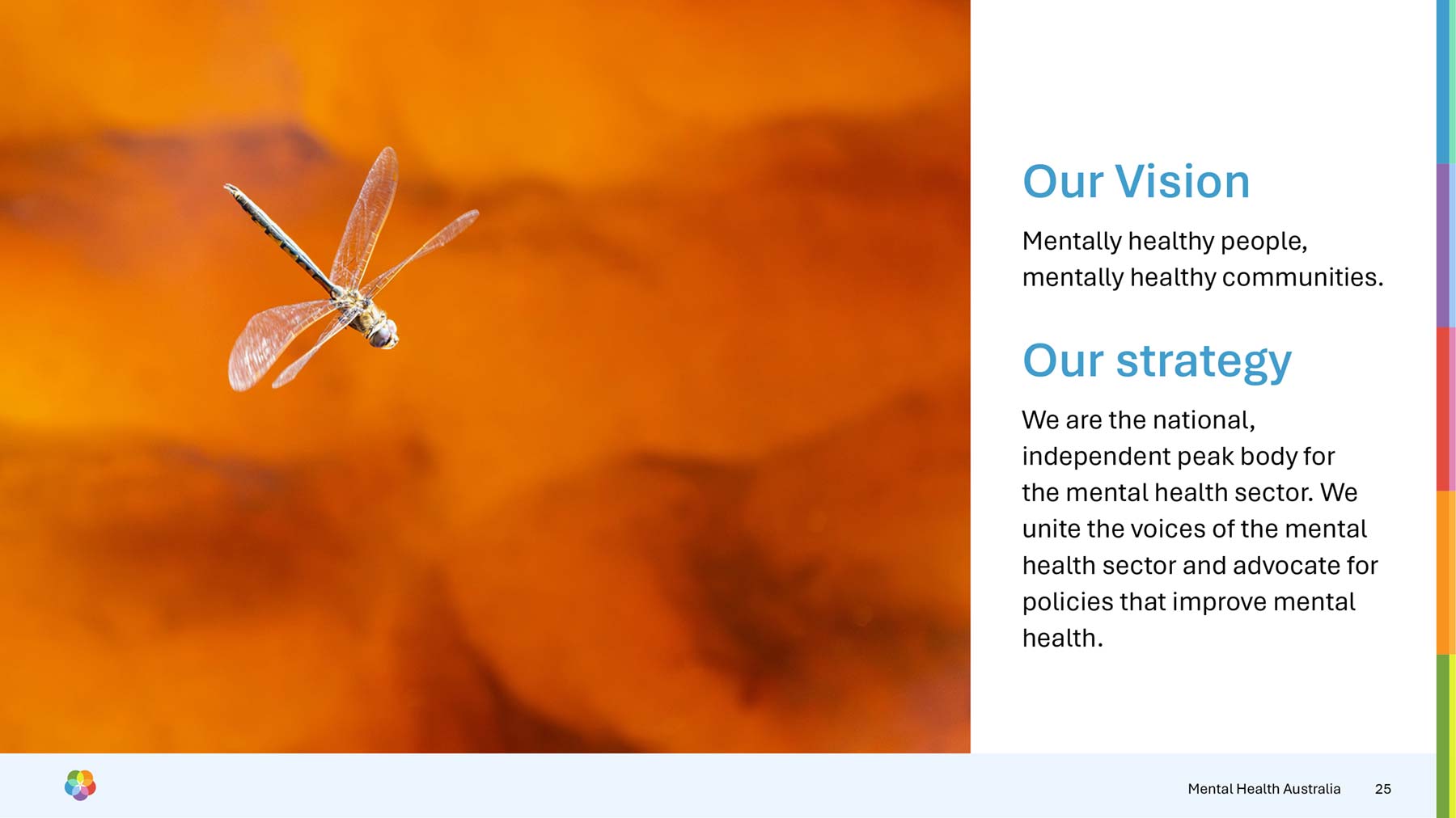 Mental Health Australia widescreen presentation PowerPoint template with dragonfly image on left and text on right