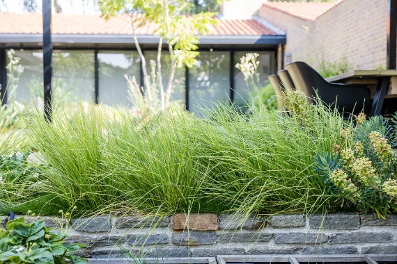 Najaarsonderhoud: siergrassen en beplanting in de herfst