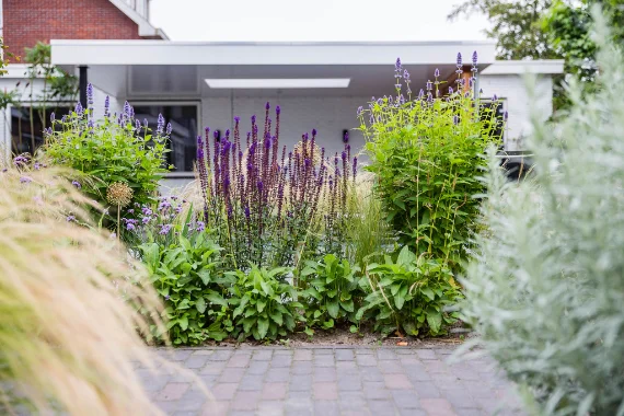 Voorjaarsonderhoud: borders met bloeiende vaste planten in een tuin van Mecklenfeld tuinen