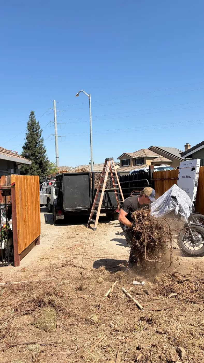 Jake's Junk Away crew member hauling roots and yard debris to the trailer