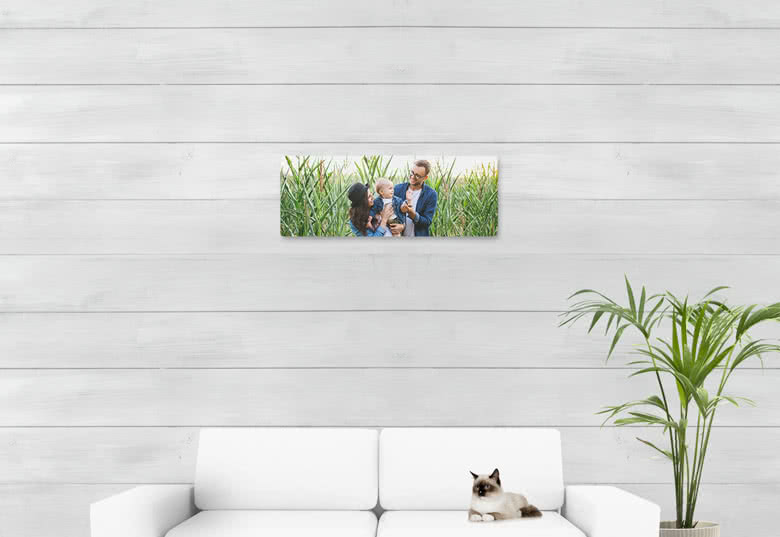 Foto auf Aluplatte gebürstet 80 x 30 cm, Panorama quer