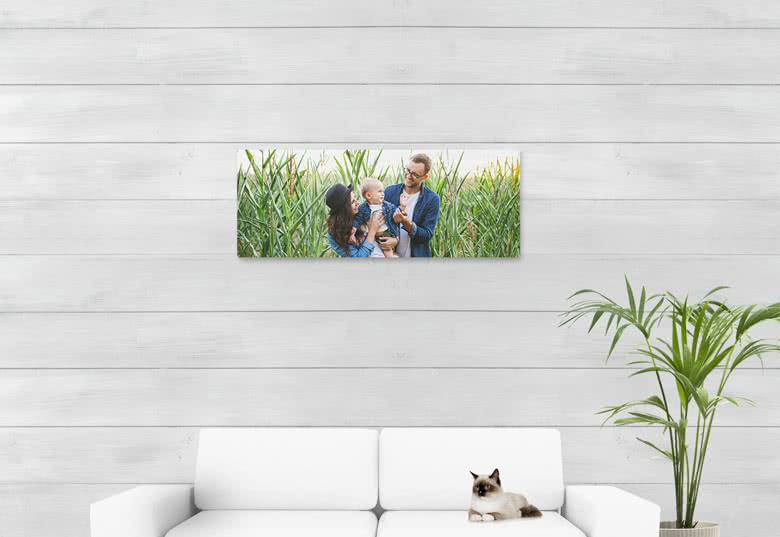 Foto auf Aluplatte gebürstet 105 x 40 cm, Panorama quer