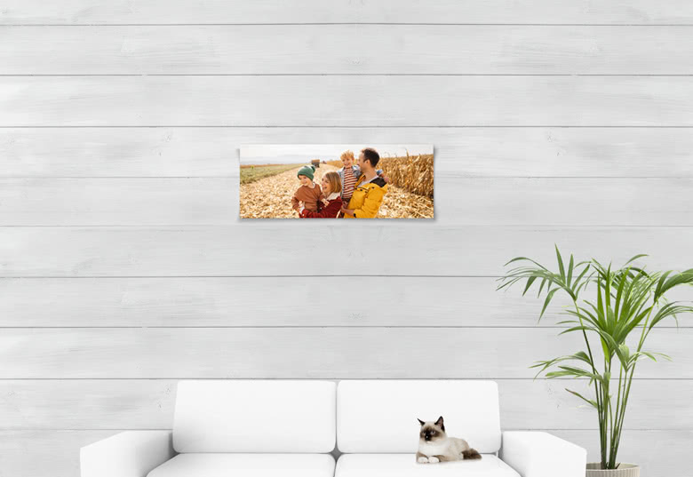 Fotocollage-Poster 80 x 30 cm, Panorama, matt