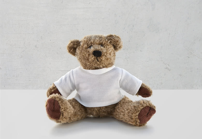 Teddybär mit Foto-Shirt