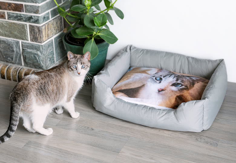 Tierbett personalisiert, 65 x 55 cm