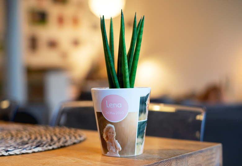 Kleiner Blumentopf mit Foto