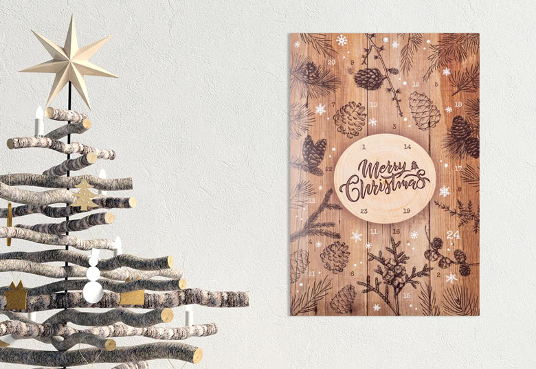 Foto-Adventskalender Kiefernwald