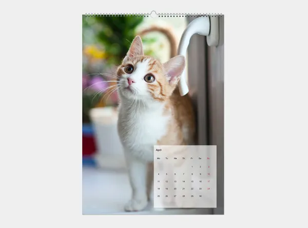 Wandkalender A2 hoch mit Foto