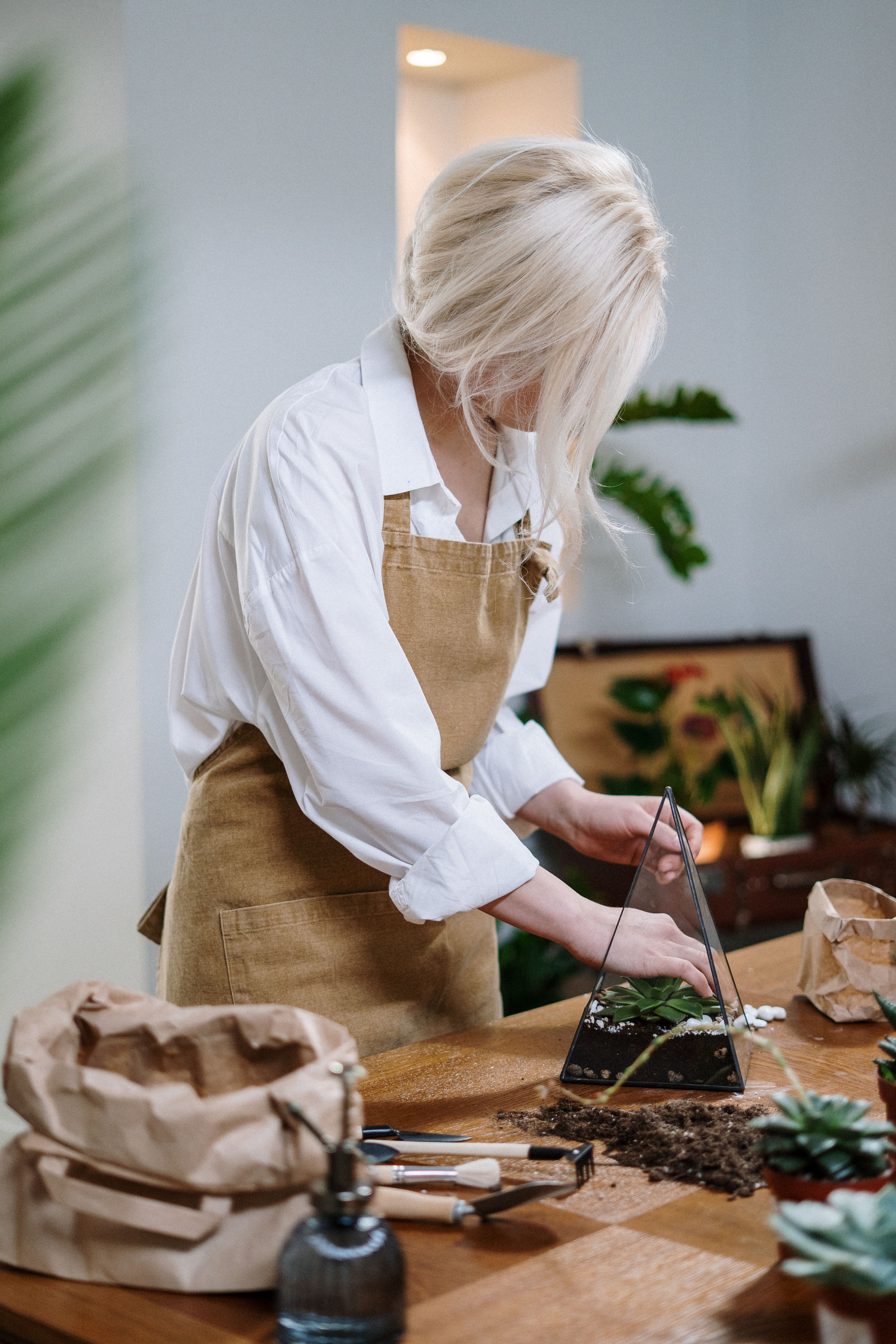 Indoor plants and greenery for Anna Texas