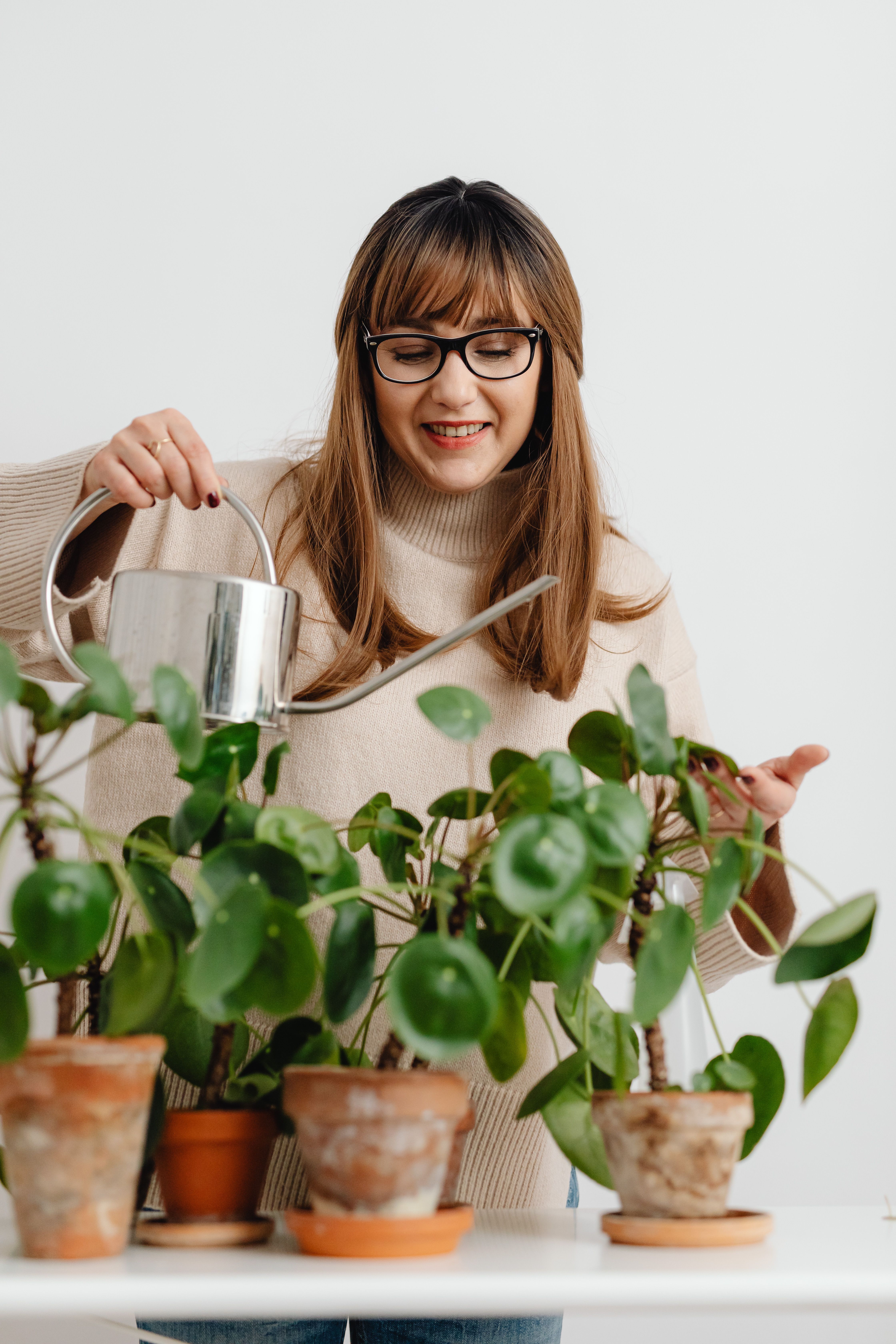 Indoor plants and natural decor for Weston Texas