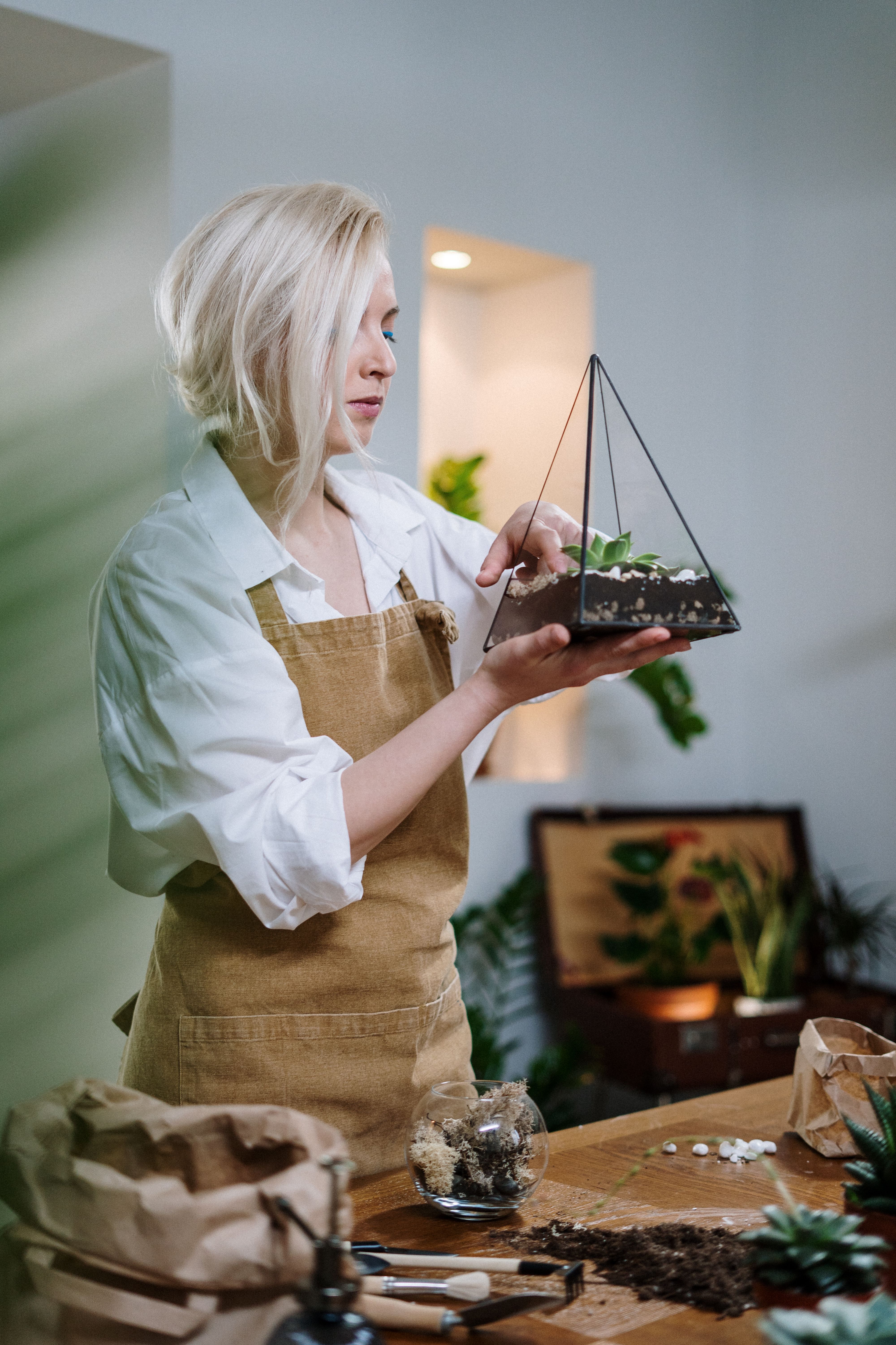 Indoor houseplant inspiration for Allen Texas