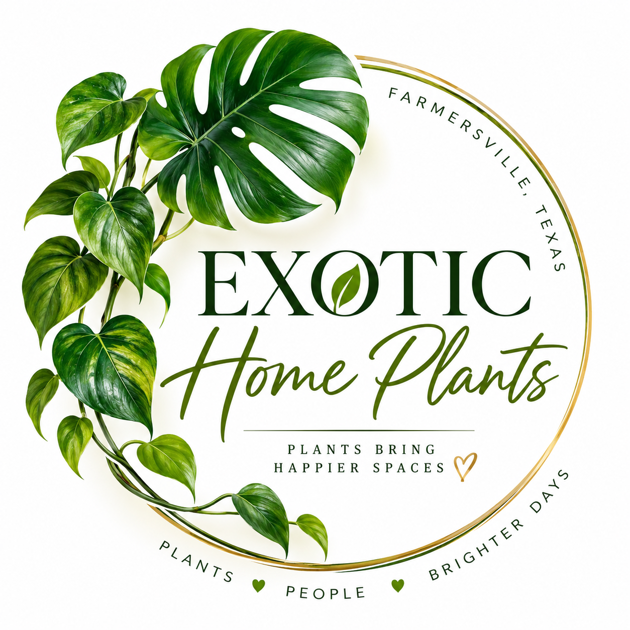 Exotic Home Plants botanical emblem