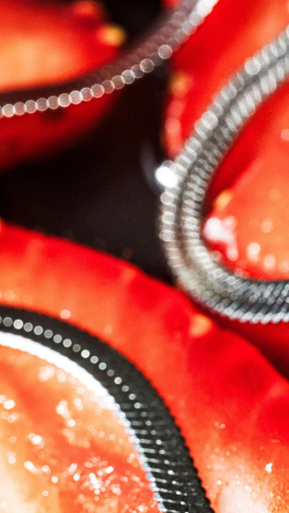 Fruit rouge et chaînes argentées