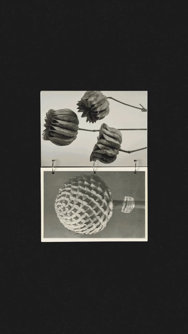 Reel G1122 : sculptures en noir et blanc