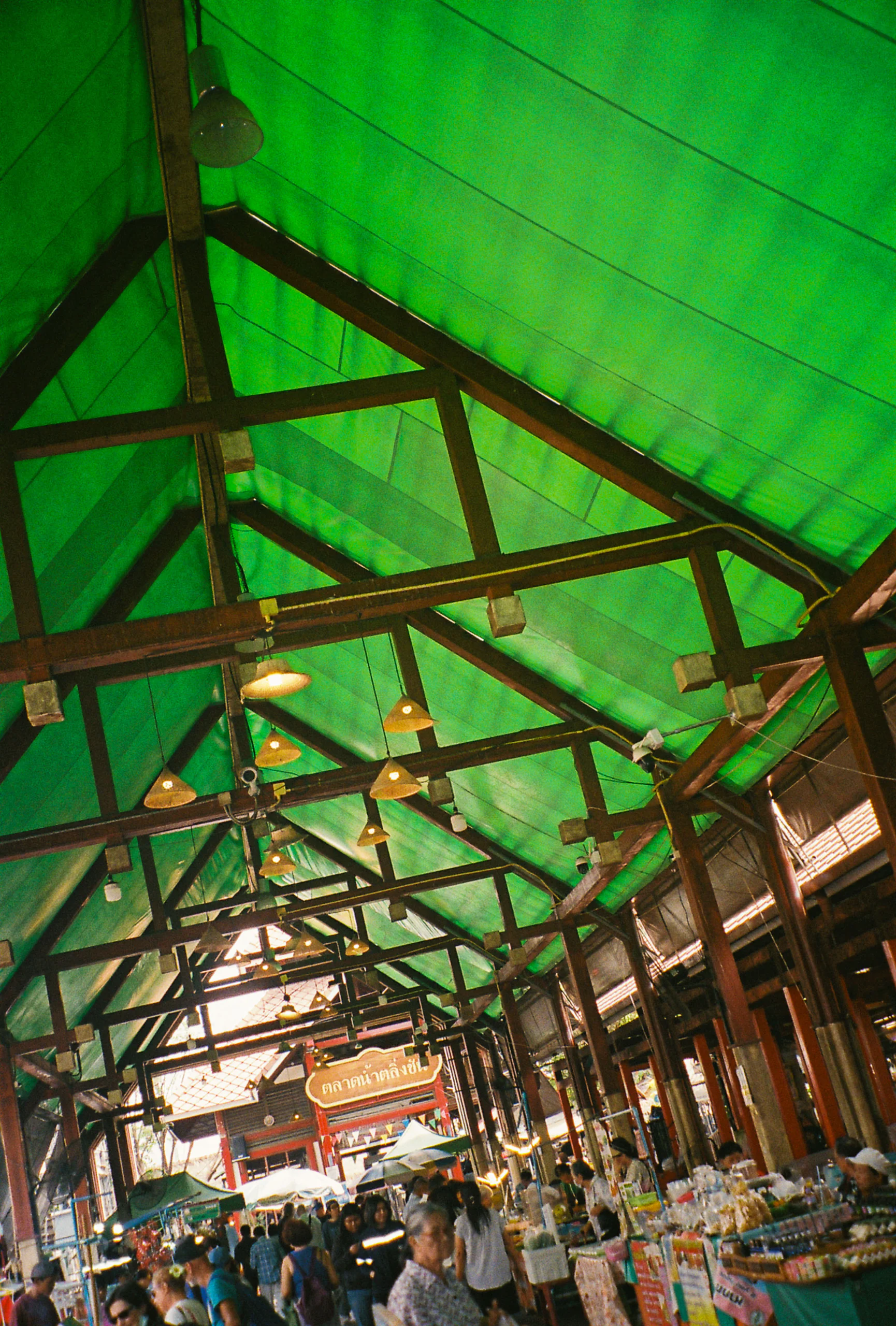 Charpente sous un toit vert translucide