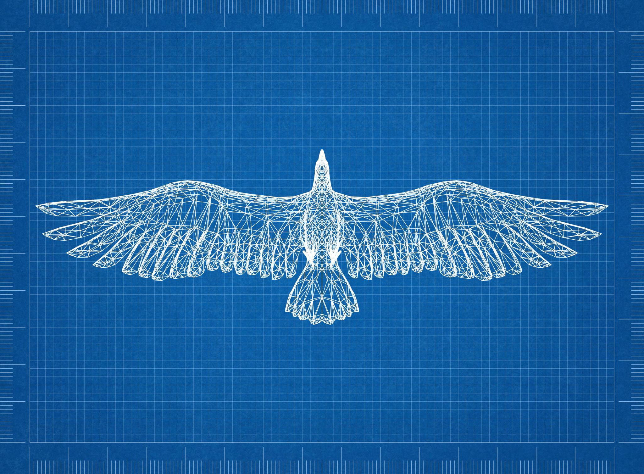 Águila conceptual como símbolo de idea, desarrollo y valor