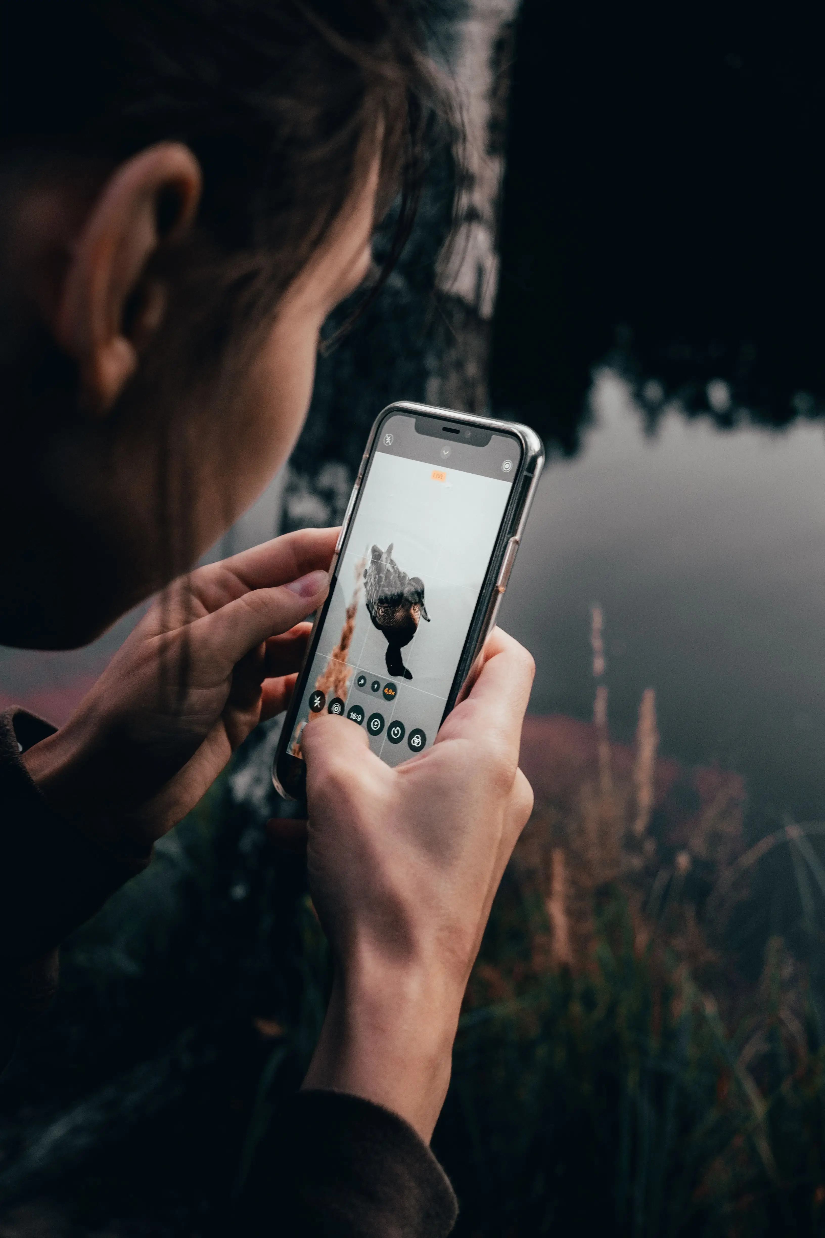 Person holding a smartphone close to a tree by a body of water, using the phone's camera app to photograph a close-up of a duck standing on a reflective surface.