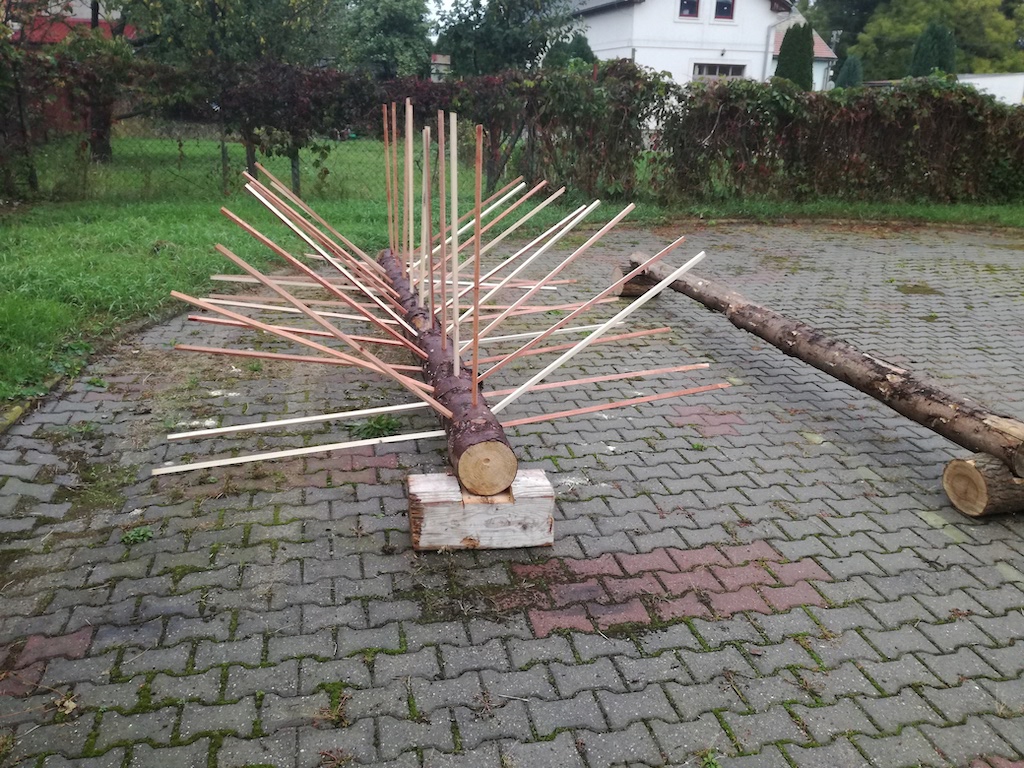 Praktická časť kurzu obsluhy motorovej píly