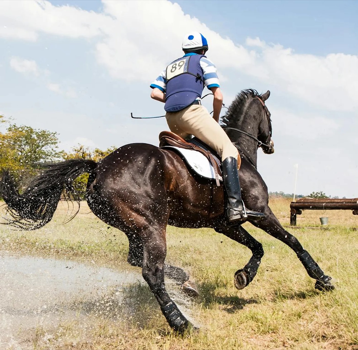 Equestrian