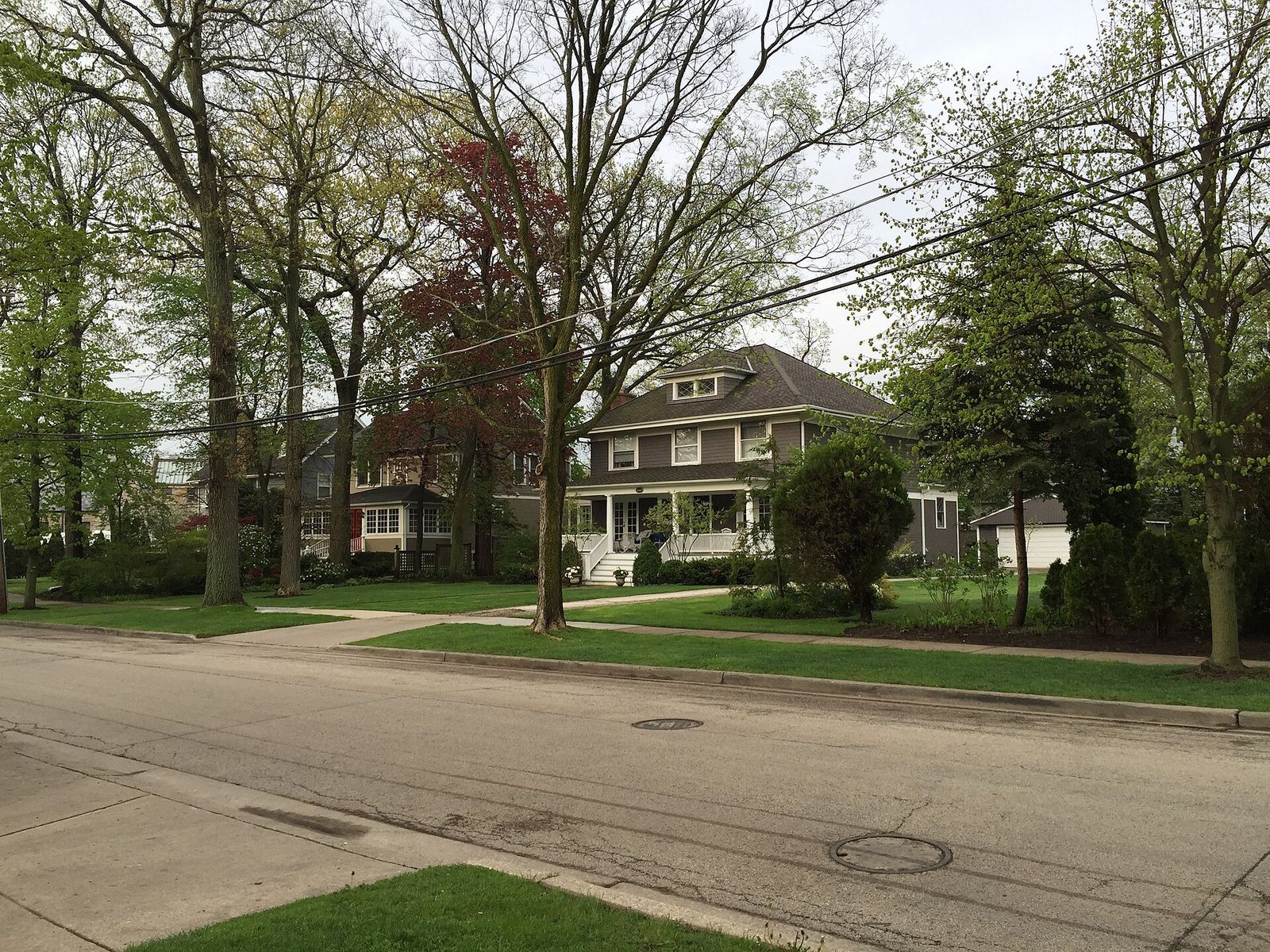 Tree-lined residential street with established homes in Winnetka, Illinois