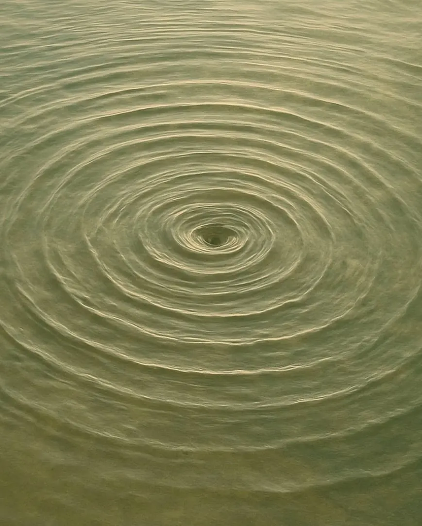 Ripples moving outward across still water