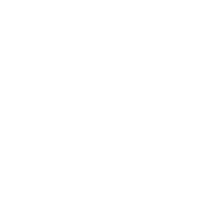 Billi Bi