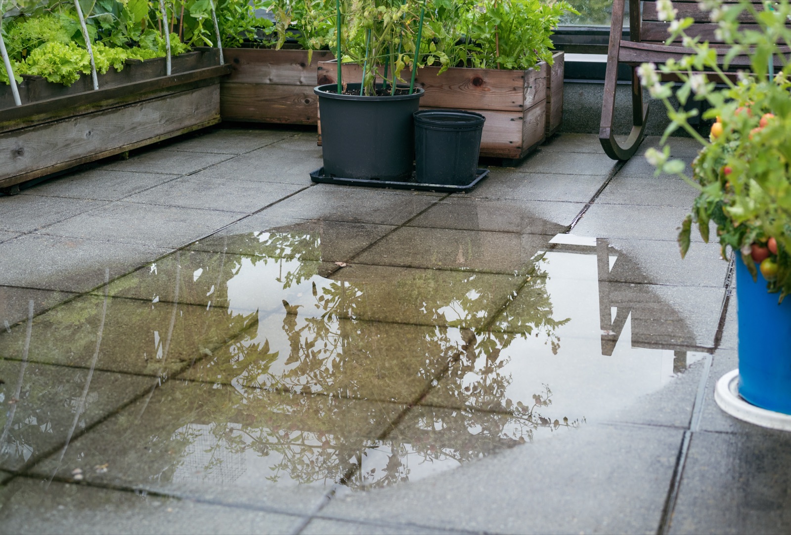 Water pooling around a blocked drain
