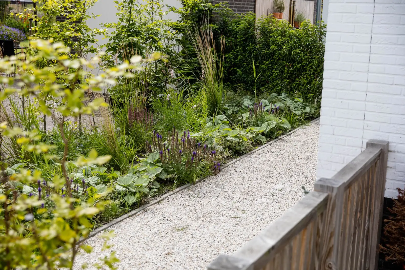 Border grindpad salvia gevel in een tuin in Lelystad