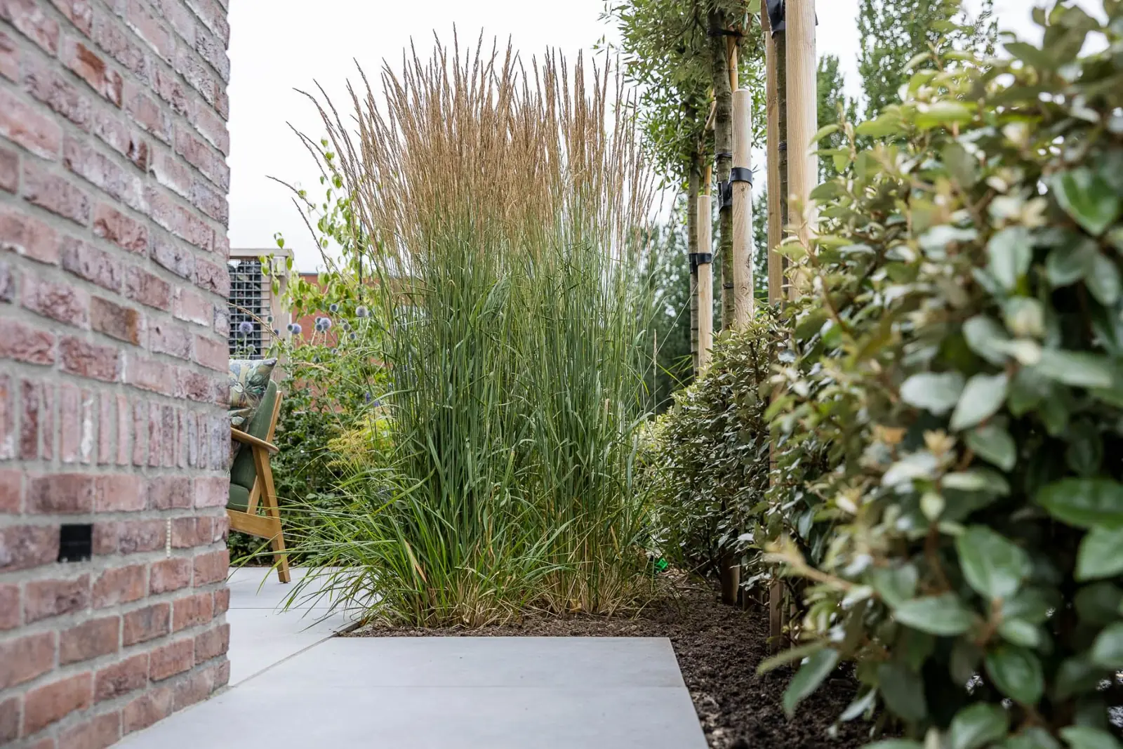 Siergras gevel zijpad in een tuin in Dalfsen