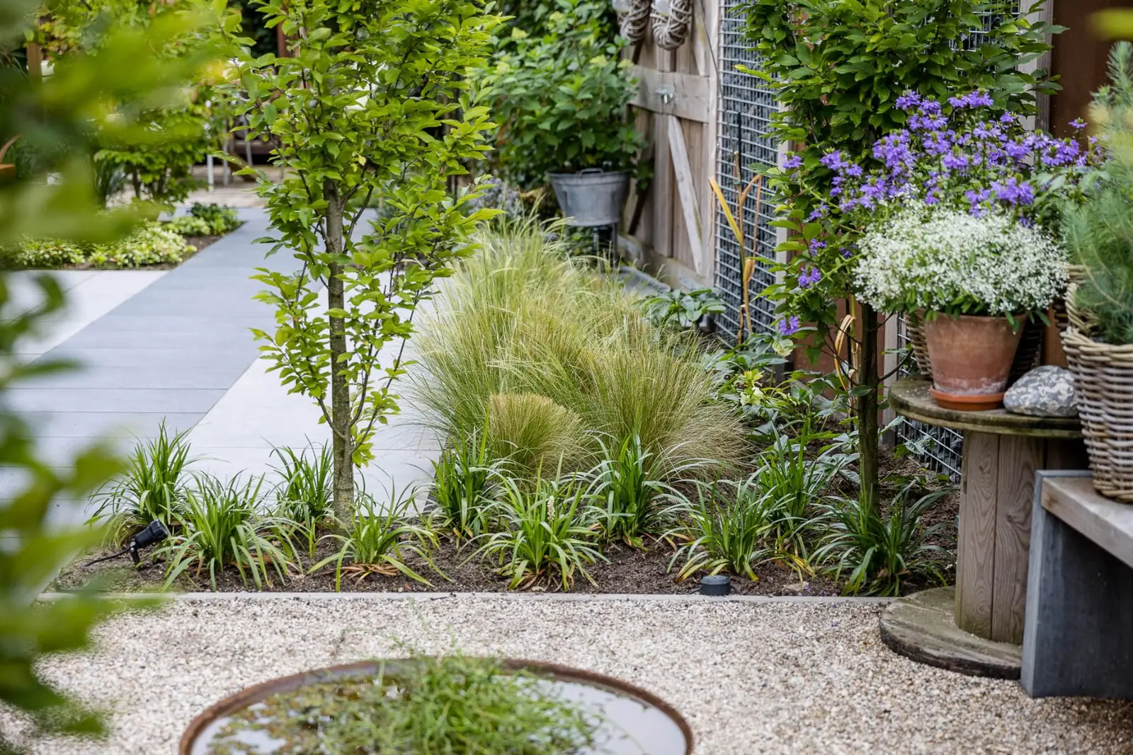 Border siergras waterschaal in een tuin in Dalfsen
