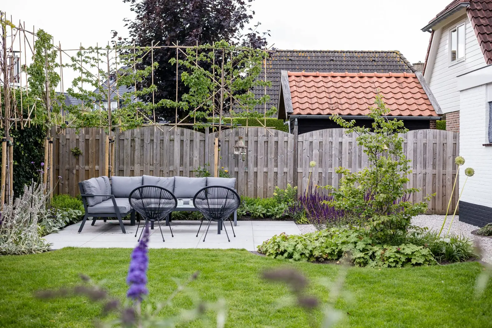 Loungeplek op een terras van grote tegels voor leibomen en een houten schutting met salie en geranium