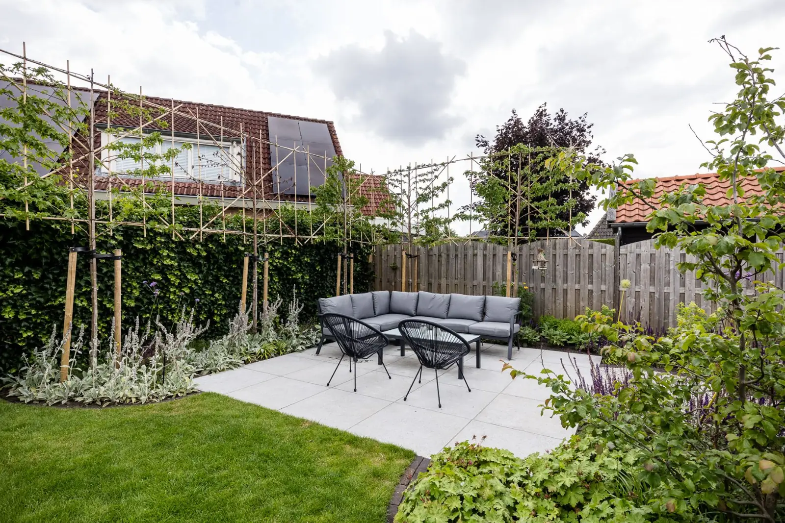 Loungeplek tussen leibomen, een klimophaag en een border met ezelsoor